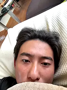 shoma2003 – webcam model profile photo